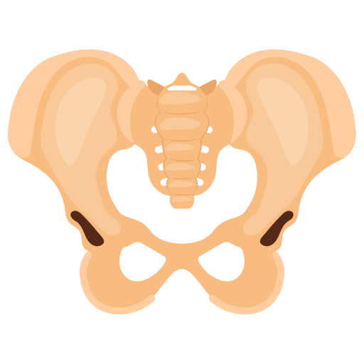 Hip
